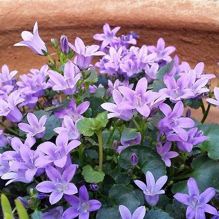 Casa Romero Lliber ห้อง รูปภาพ