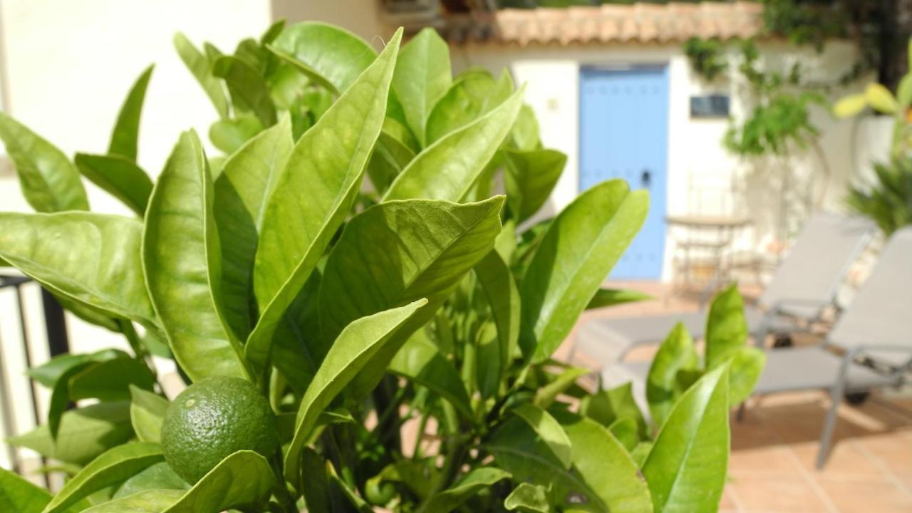 Casa Romero Lliber ภายนอก รูปภาพ