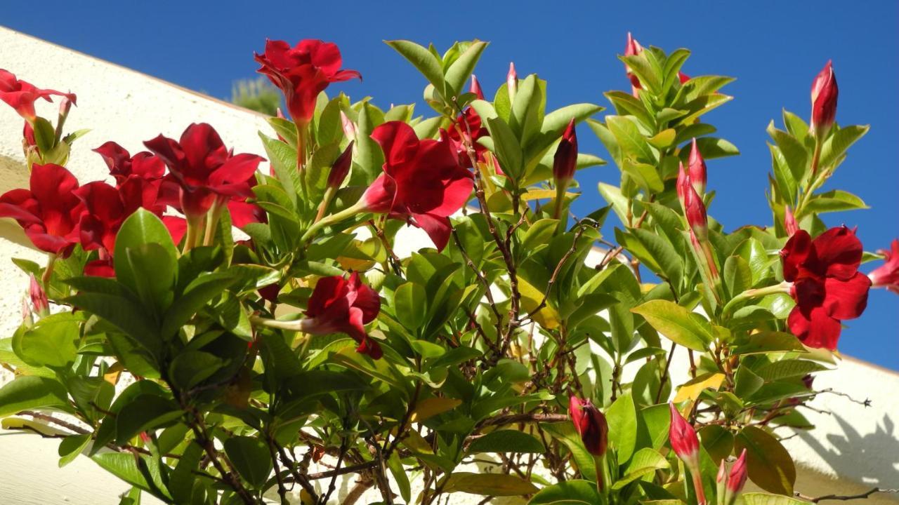 Casa Romero Lliber ภายนอก รูปภาพ