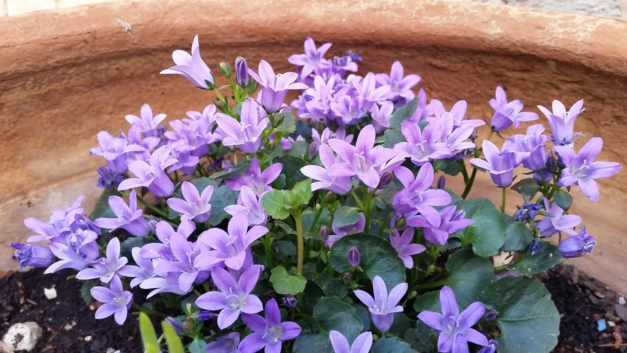 Casa Romero Lliber ห้อง รูปภาพ